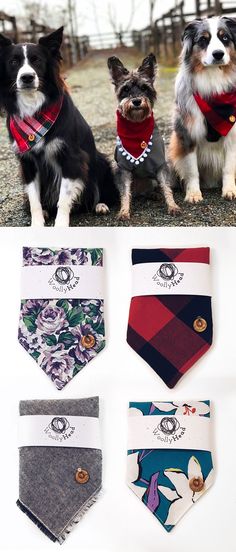 three dogs wearing neckties and bandanas on their collars are shown in different pictures