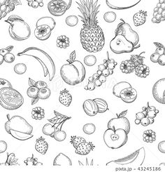 fruits and vegetables are drawn in pencil on a white background stock photo, royalty illustration