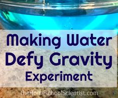 the words making water defy gravity experiment in front of a bowl filled with blue liquid