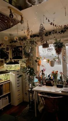 a kitchen filled with lots of plants and hanging potted planters on the ceiling