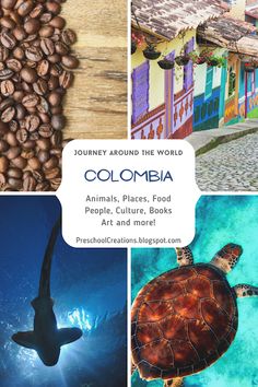 collage of different pictures including coffee beans, sea turtle and colorful buildings in colombia