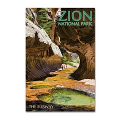 a poster with an image of a river in the canyon