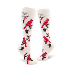 white knee high womens socks with a festive cardinal, pine boughs, and berry pattern. Womens Knee High Socks, Bellingham Washington, Sock Lovers, Backyard Flowers, Funky Socks, Crazy Socks, Long Socks, Calf Socks, Novelty Socks