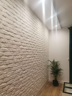 a white brick wall next to a potted plant