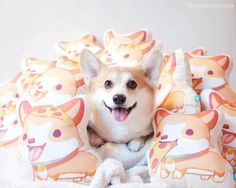 a small dog laying on top of a pile of pillows with corgi print