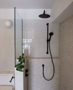 a bathroom with a shower head, toilet and plant in the corner next to it