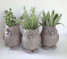 three ceramic owl planters with plants in them