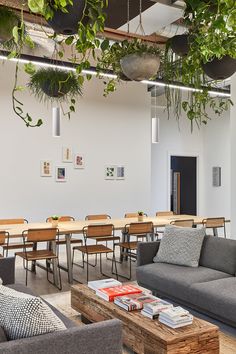 a room filled with lots of furniture and plants hanging from the ceiling over tables in front of them