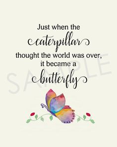 a quote that says, just when the caterpillar thought the world was over, it