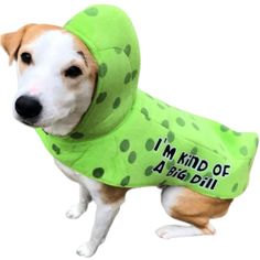 a small dog wearing a green raincoat with polka dots on it's face