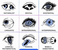 an image of different types of eyes