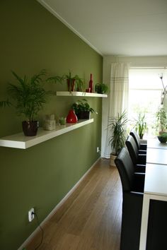 there are many plants on the shelves in this dining room table and chair set up