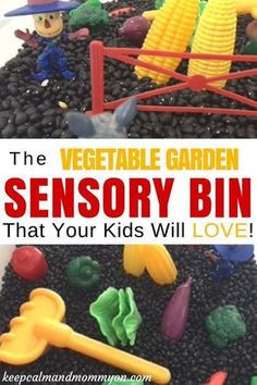 the vegetable garden is an easy and fun activity for kids to learn how to grow their own vegetables