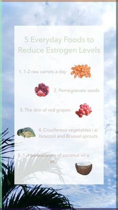 High estrogen levels in the body, or estrogen dominance, can cause issues like irregular & painful p Low Estrogen Foods Diet, Foods To Help Lower Estrogen, Foods That Lower Estrogen Levels, Estrogen Lowering Foods, Estrogen Reducing Foods, Lower Estrogen Diet, Lower Estrogen Levels Natural, Lowering Estrogen Naturally