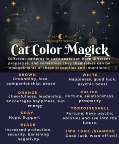 Color Magick, Witch Things, Pagan Magic, Cat Spirit, Witchy Tips, The Cauldron