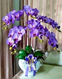 purple flowers are in a white vase on a table