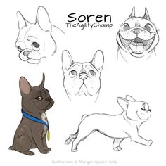 four different types of dogs that are drawn in the style of an animal's head