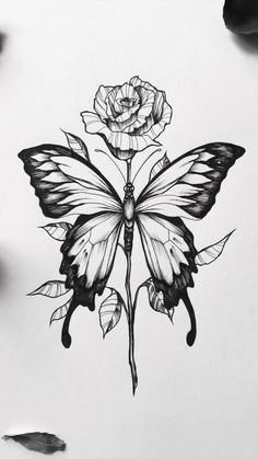 a drawing of a butterfly with a rose on it