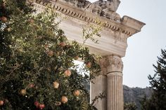 an orange tree in front of a stone arch with statues on the top and fruit trees below