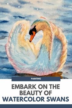 an image of a swan in the water with text reading embark on the beauty of watercolor swans