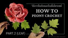 two hands are holding a paper rose with leaves on it and the words how to peony crochet written below