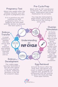 an info sheet describing how to use ivf cycle