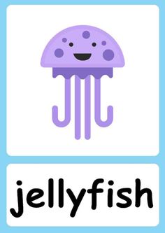 an image of jellyfish with the word jellyfish below it