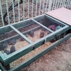 the caged animals are eating out of the bins on the ground in front of the fence