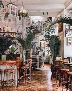 the inside of a restaurant with tables, chairs and potted plants on the wall