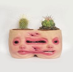 two potted plants with faces painted on them, one is green and the other is pink