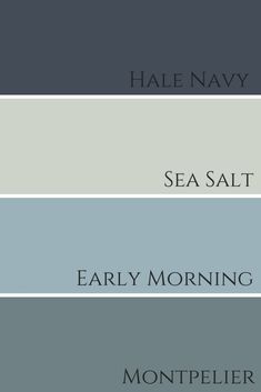 four shades of blue, gray and white with the words sea salt on them in different font