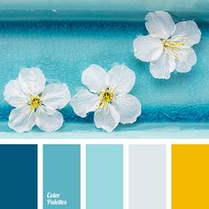 three white flowers sitting on top of a blue tray