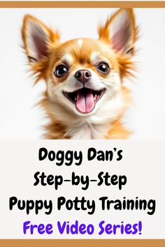 Free, step-by-step video series where you get to watch Professional Dog Trainer, Doggy Dan, working with a puppy owner to properly potty train their puppy!

Puppy potty training, puppy toilet training, puppy house breaking, puppy house training, how to potty train a puppy Puppy Potty Training, How To Potty Train, Free Puppies, Puppy House