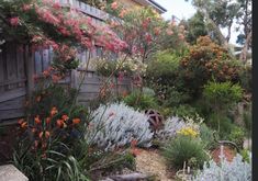 the garden is full of colorful flowers and plants