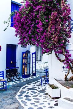 a tree with purple flowers growing over it next to a white building and blue doors