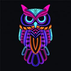 an owl with bright colors on it's face and eyes, sitting in the dark