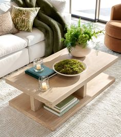 a living room with a couch, coffee table and potted plant on top of it