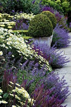 some very pretty flowers and bushes by the sidewalk