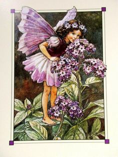 Fairies Garden, Fairy Nursery, Fairy Drawings, 동화 삽화, Fairy Wallpaper, Fairy Illustration, Elves And Fairies, Fairy Pictures, Cicely Mary Barker