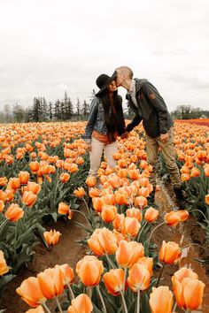 two people kissing in a field of orange tulips