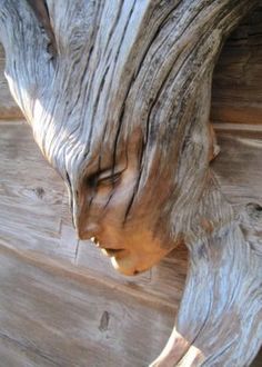 a close up view of the face and trunk of a wood carving sculpture on display