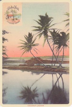 an old postcard with palm trees in the foreground and water on the far side