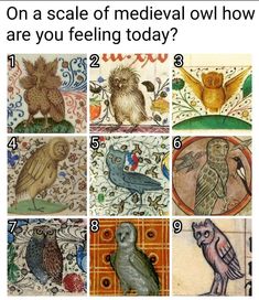 nine different pictures of owls and birds with the caption on each one that says,