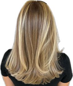 Hairstyles For All Hair Types, Caramel Blonde Hair, French Braids, French Braid Hairstyles, Hairstyles For Layered Hair, Honey Blonde Hair, Dark Blonde Hair