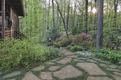 a stone path in the woods leading to a cabin