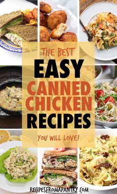 the best easy canned chicken recipes you will love