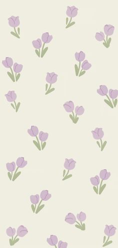 purple flowers on a white background with green stems in the foreground and bottom right corner