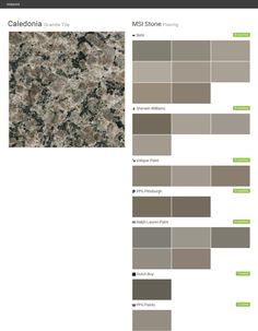 the color scheme for this granite countertop is shown in shades of brown, beige and green