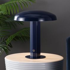 a blue lamp sitting on top of a table next to a plant