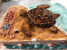 there is a cake that looks like a turtle on the beach with sand and sea shells